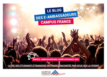 e-ambassadeurs